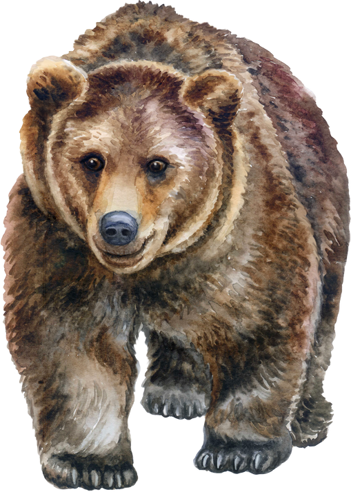 bear brown watercolor illustration